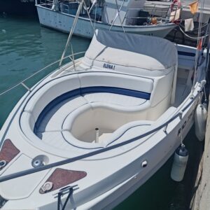 Alquiler de Barca sin Patrón 250CV